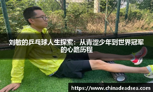 刘敏的乒乓球人生探索：从青涩少年到世界冠军的心路历程