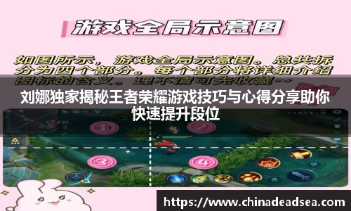 刘娜独家揭秘王者荣耀游戏技巧与心得分享助你快速提升段位