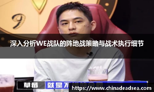 深入分析WE战队的阵地战策略与战术执行细节