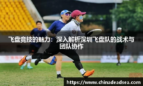 飞盘竞技的魅力：深入解析深圳飞盘队的战术与团队协作