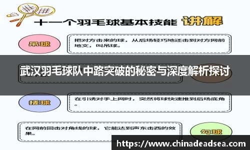 武汉羽毛球队中路突破的秘密与深度解析探讨