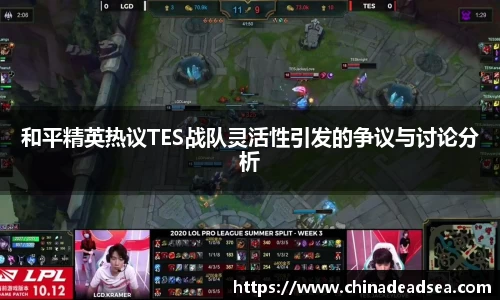 和平精英热议TES战队灵活性引发的争议与讨论分析